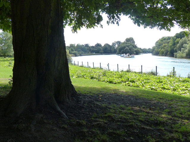 The River Thames south of Richmond