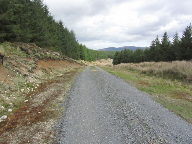 Forestry track E of Black Hill, Wicklow Mountains