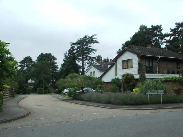 Inglewood Copse, Bickley © Chris Whippet cc-by-sa/2.0 :: Geograph ...