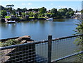 River Thames at Strawberry Hill, Twickenham