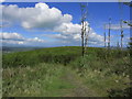 N4779 : Mullaghmeen Forest Walks -Path running E from Mullaghmeen Hill by Colin Park