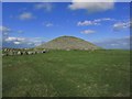 N5877 : Cairn 'T' Summit of Slieve na Calliagh, Co Meath by Colin Park