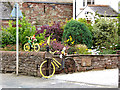 The yellow bikes of Langwathby (6)