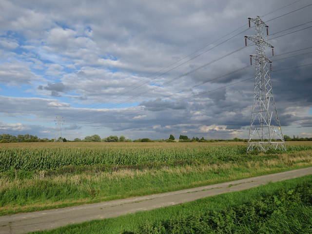 Maize and pylons