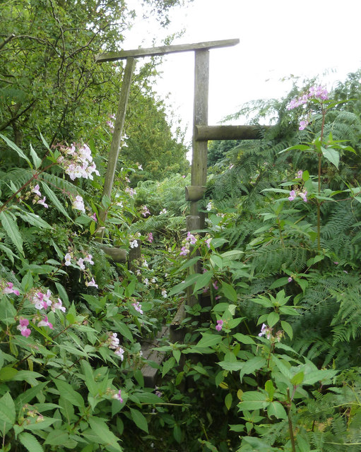 Stile on overgrown footpath between Atherton's Farm and Stone Hall