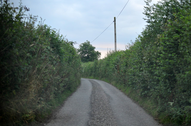 North Devon : Country Lane