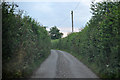 North Devon : Country Lane