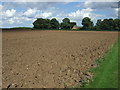 TF2890 : Field towards Grange Farm by JThomas
