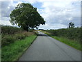 Minor road towards Wold Newton