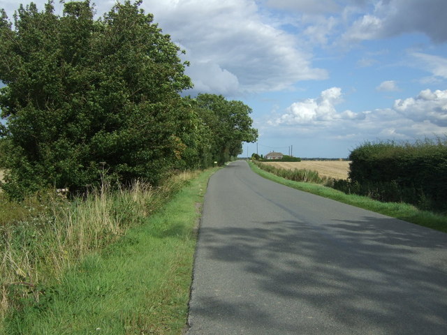 Pear Tree Lane