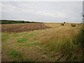 Field at Brierley