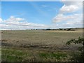 A freshly harvested field