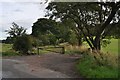 Back Road to Ballingry