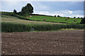 Taunton Deane District : Ploughed Field