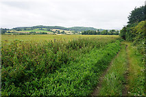 SP0227 : Fieldside path near Winchcombe by Bill Boaden