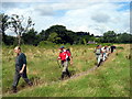 Gwarchodfa Natur Coed Tregib Nature Reserve