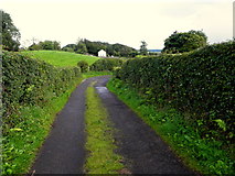 H5656 : Glenhoy Road, Belnaclogh by Kenneth  Allen