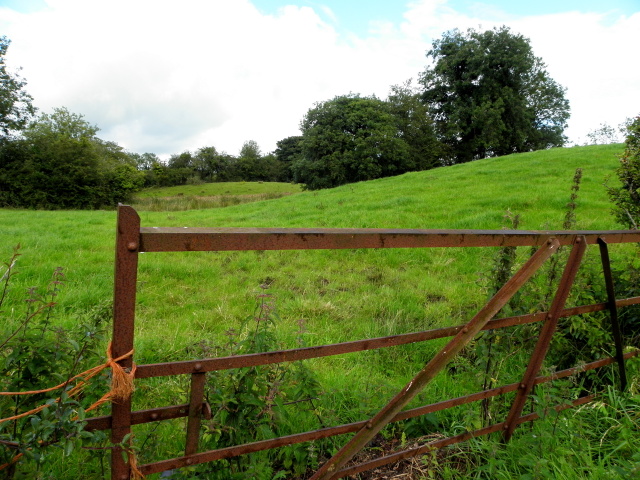 Gate, Belnaclogh © Kenneth Allen :: Geograph Ireland