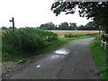 Footpath off The Causeway