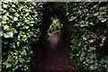 Coastal path towards Bembridge