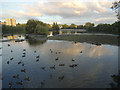 Farnley Balancing Reservoir, normal low level