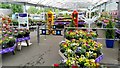 Swindon Garden Centre, 3