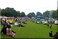 Carnival goers in Potternewton Park