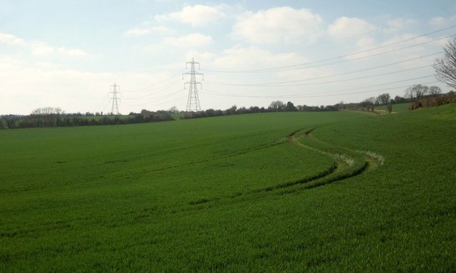 Field at Cassey Compton