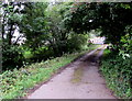 SO3700 : Path from Llanbadoc Island to the main road, Llanbadoc by Jaggery