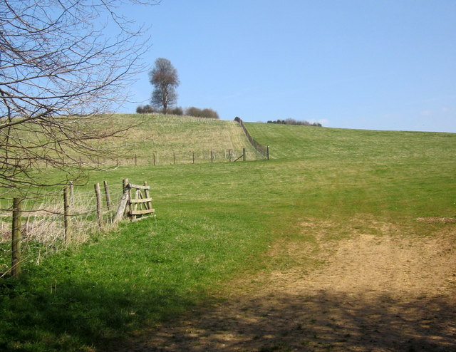 Hillside by the White Way