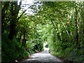 Horselees Road, by Meadow Wood