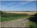 Field by the River Lark