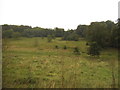 Grassland by Bunkers Lane, Nash Mills