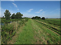 Footpath along the bank of the River Lark 