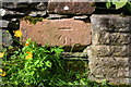 NY6104 : Benchmark on wall of 'Bank View', Orton Road by Roger Templeman