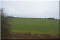 Farmland near Hanwood