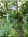 Footbridge on Rock Common