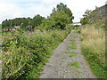 Dubious public footpath off Hob Lane, Norland