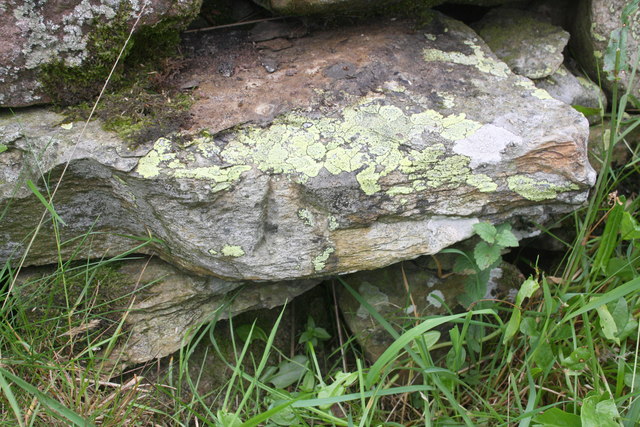 Benchmark on dry stone wall NE of Greenholme Bridge