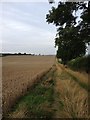 Footpath close to Great Bowden