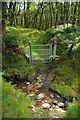 Stream and gate into woods