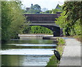 Heron on the towpath of the Grand Union Canal