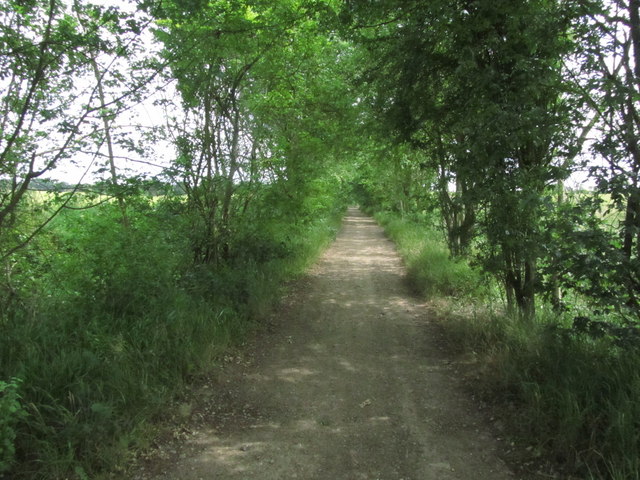 Enclosed track - The Essex Way near... © Colin Park cc-by-sa/2.0 ...