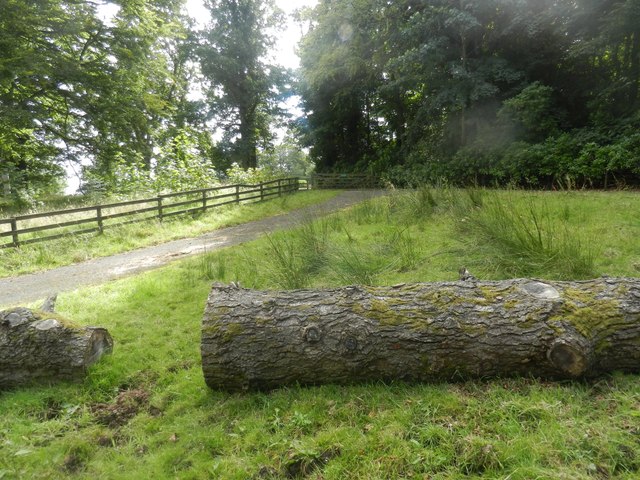 Field gate on Marchmont Estate