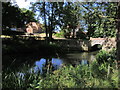 The River Chelmer by Langleys House, Great Waltham