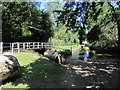 Deep ford on the River Ter, Terling, Essex