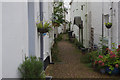 Quay Lane, Lympstone