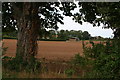 Autumn view across a field towards Grange de Lings