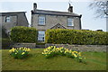 Daffodils, Thornton