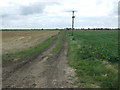 Farm track off Metheringham Fen Lane